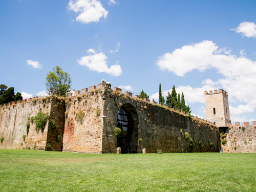 Florence Field of Miracles Cruise Excursion Reviews
