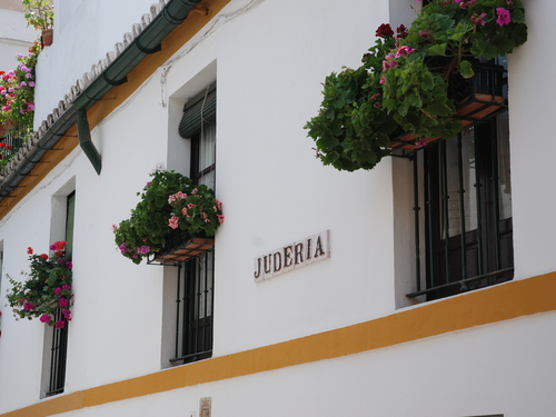 Cadiz seville Excursion Reviews