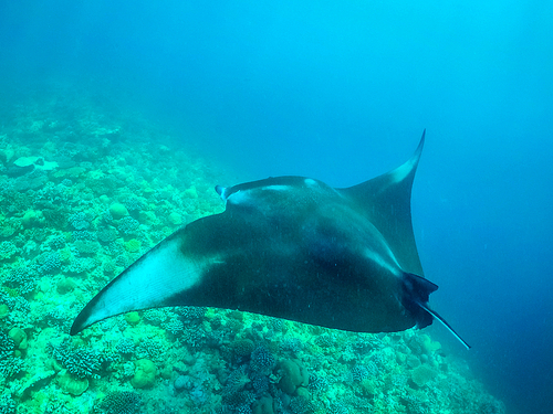 Fort Lauderdale  Florida key west Tour Cost