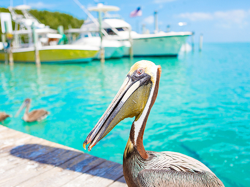 Fort Lauderdale key west self guided Trip Reviews