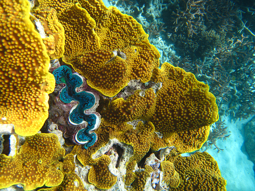 Fort Lauderdale key west self guided Cruise Excursion Booking