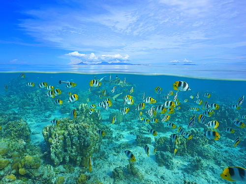 Fort Lauderdale key west Excursion Prices