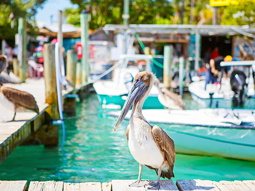 Fort Lauderdale key west Trip Reviews