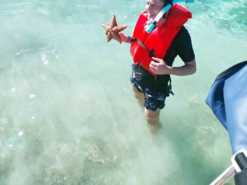 Freeport Blue Hole Snorkeling & Turtle Park Excursion - Freeport Excursions