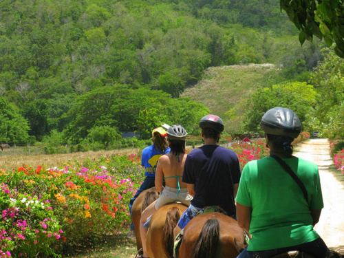Ocho Rios  Jamaica horseback riding Tour