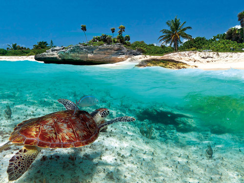 Antigua  St. John's Betty's Hope Excursion Tickets