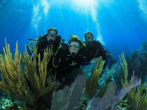 Nassau perfect for all divers Tour