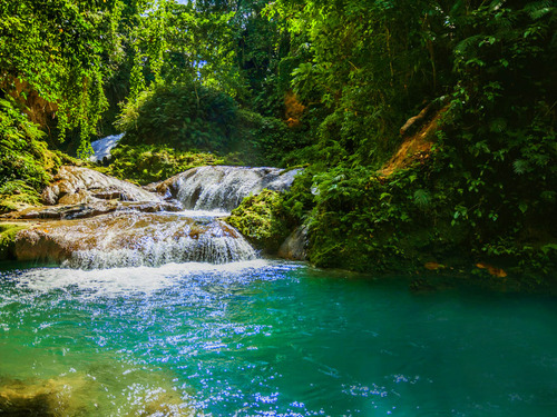 Ocho Rios  Jamaica climb waterfall Booking