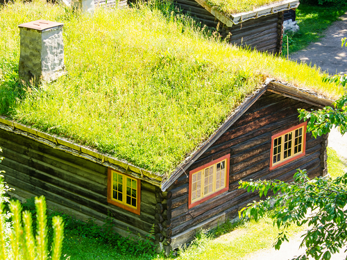 Geiranger Norwegian Fjord Centre Excursion Booking