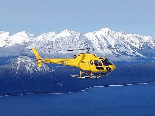Juneau glacier flightseeing Cruise Excursion Prices