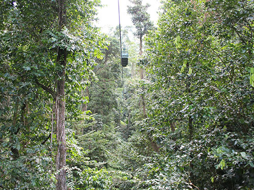 St. Lucia (Castries) nature trail Shore Excursion Cost