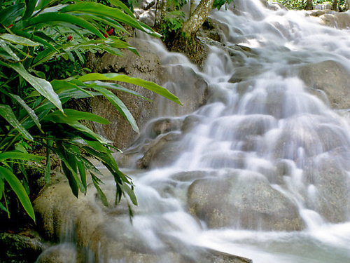 Jamaica Ocho Rios plantation and dunns river falls Shore Excursion Reservations