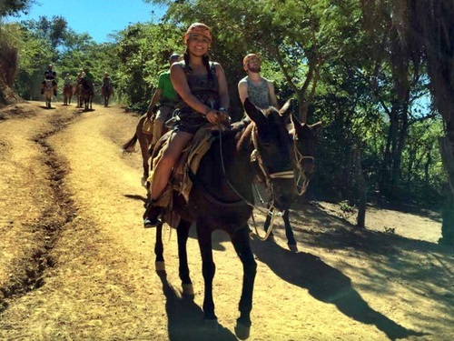 Puerto Vallarta Mexico mule ride Trip Booking
