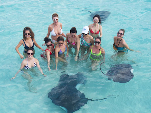 Grand Cayman Catamaran Sail with Stingray City, Snorkeling & Starfish Point Excursion