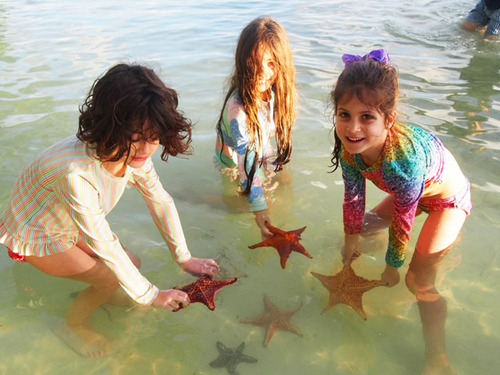 Grand Cayman Catamaran Sail with Stingray City, Snorkeling & Starfish Point Excursion