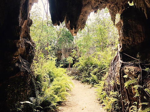 Grand Cayman Caves Walking Excursion Booking