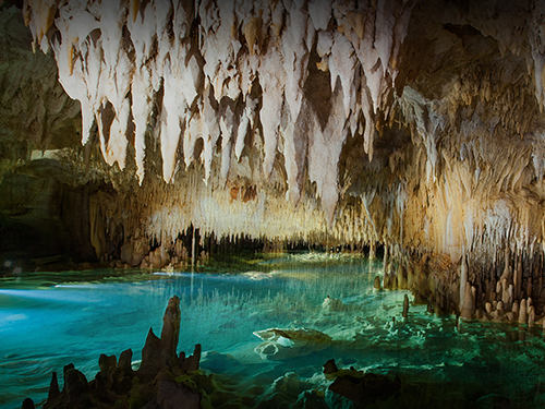 Grand Cayman Cayman Islands Caves Walking Trip Cost