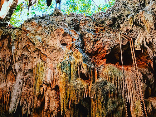 Grand Cayman Caves Walking Cruise Excursion Cost