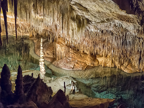 Grand Cayman Cayman Islands Caves Walking Shore Excursion Prices