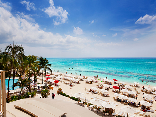 Cayman Islands Turtle Center Sightseeing Trip Tickets