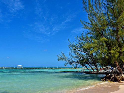 Grand Cayman Cayman Islands Starfish Point Cruise Excursion Prices
