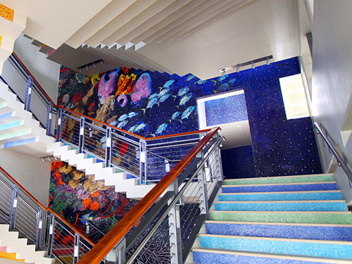 Cayman Islands Turtle Center Sightseeing Cruise Excursion Prices