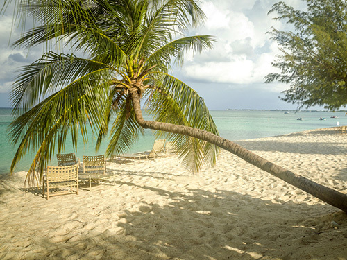 Grand Cayman Cayman Islands Food and Drinks Beach Break Tour Tickets