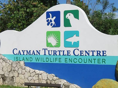 Grand Cayman Turtle Center Sightseeing Tour Cost