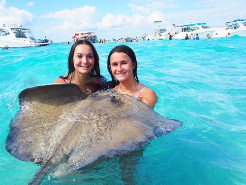 Grand Cayman Private Catamaran Sail: Coral Gardens, Stingray City & Starfish Point Excursion