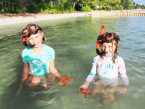 Grand Cayman Private Catamaran Sail: Coral Gardens, Stingray City & Starfish Point Excursion