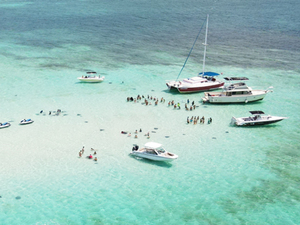 Grand Cayman Private Catamaran Sail: Coral Gardens, Stingray City & Starfish Point Excursion