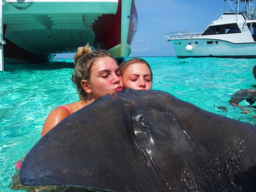 Grand Cayman Private Catamaran Sail: Coral Gardens, Stingray City & Starfish Point Excursion