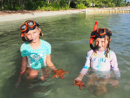 Grand Cayman Private Catamaran Sail: Coral Gardens, Stingray City & Starfish Point Excursion