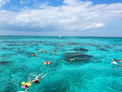 Grand Cayman Private Catamaran Sail: Coral Gardens, Stingray City & Starfish Point Excursion