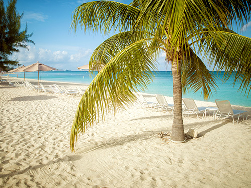 Grand Cayman Friends Beach Break Tour Cost