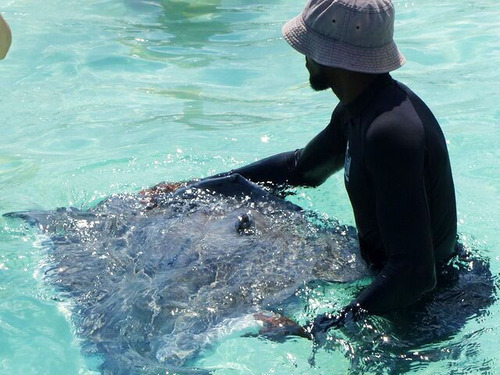 Grand Cayman Starfish Point Trip Booking