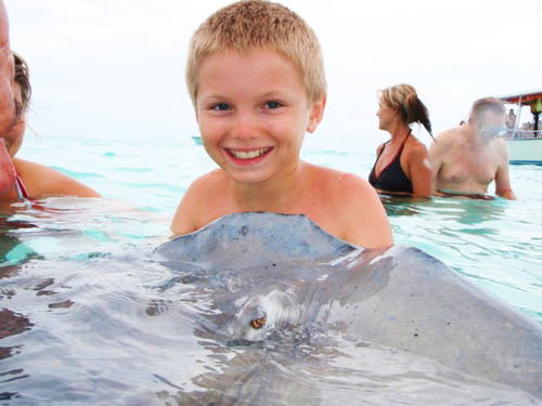 Cayman Islands Stingray City Sandbar Cruise Excursion Reviews