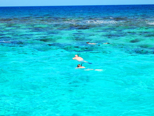 Grand Cayman Barrier Reef Cruise Excursion Reviews