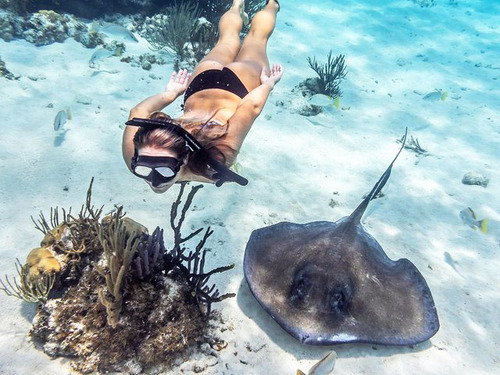 Grand Cayman Barrier Reef Excursion Reviews