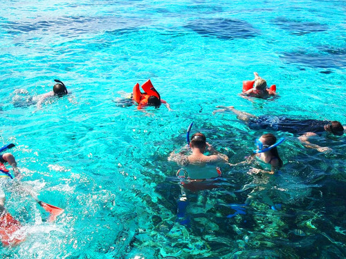 Cayman Islands Barrier Reef Cruise Excursion Reservations