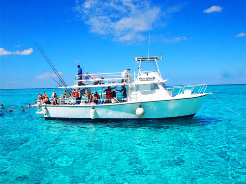 Grand Cayman Snorkel Shore Excursion Reviews