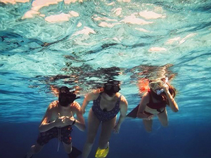 Grand Cayman Stingray City, Barrier Reef and Starfish Point Snorkeling with Seven Mile Beach Ultimate Combo Adventure