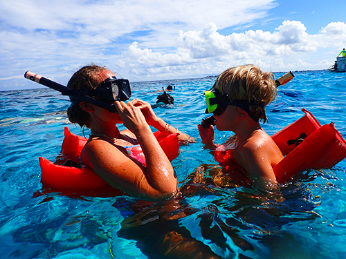 Grand Cayman Stingray City, Barrier Reef and Starfish Point Snorkeling with Seven Mile Beach Ultimate Combo Adventure