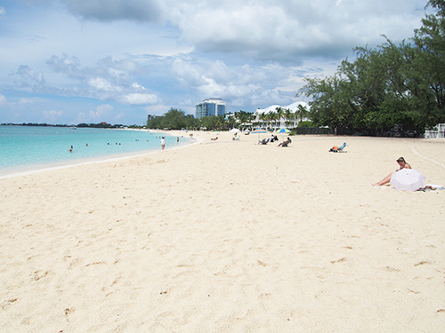 Grand Cayman Stingray City, Barrier Reef and Starfish Point Snorkeling with Seven Mile Beach Ultimate Combo Adventure