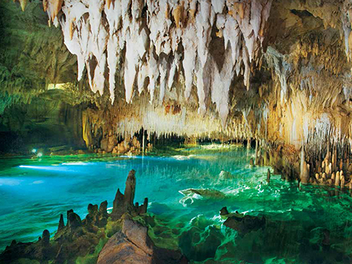 Grand Cayman Nature Walk Walking Cruise Excursion Prices