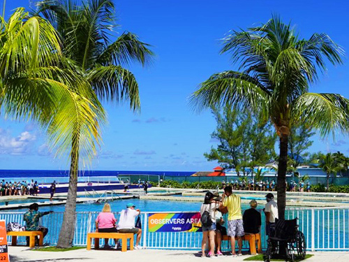 Grand Cayman West Side Island Sightseeing Excursion