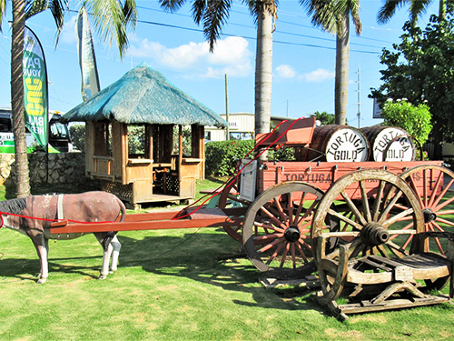 Grand Cayman West Side Island Sightseeing Excursion