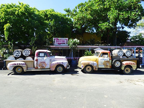 Grand Cayman West Side Island Sightseeing Excursion