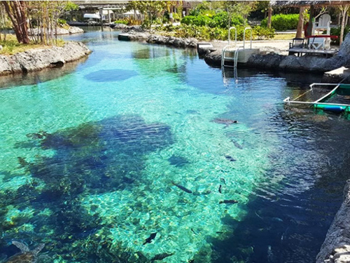 Grand Cayman West Side Island Sightseeing Excursion