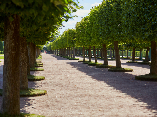 St. Petersburg  Russia Peterhof Palace Trip Reviews